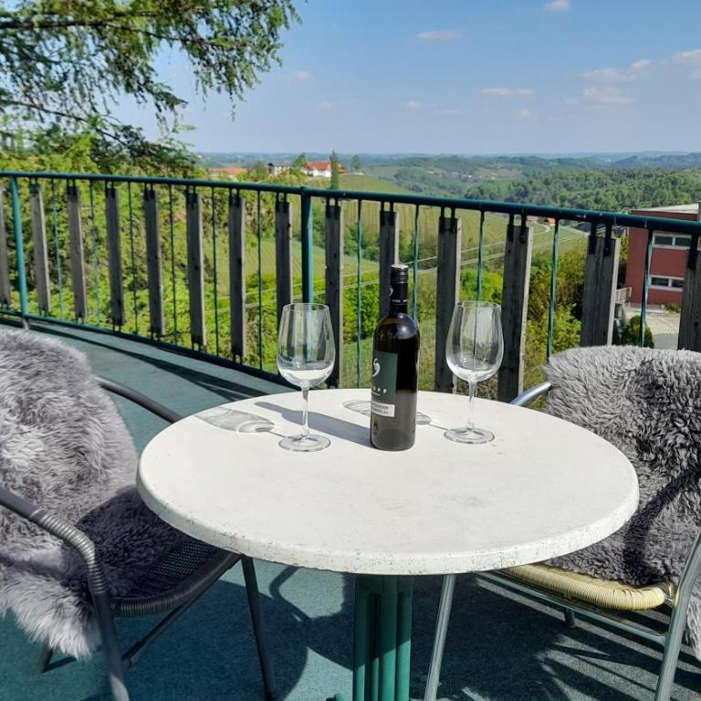 Glanz und Gloria Weingartenapartment an der Kellerstraße, viele Buschenschänke, sehr ruhige Lage, herrliche Aussicht! - Appartement - Vue sur Jardin - 34