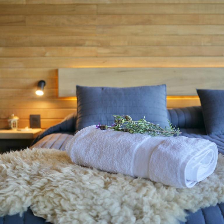"Los laureles" vista al lago - Loft - 17