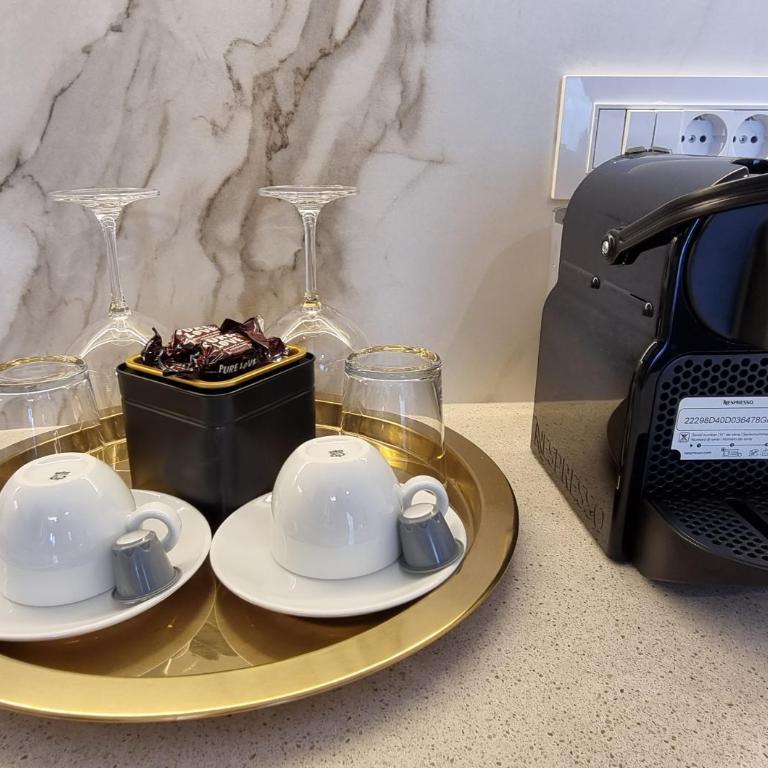 Beograd na vodi - BW Terra Exclusive - Apartman sa Terasom - 16