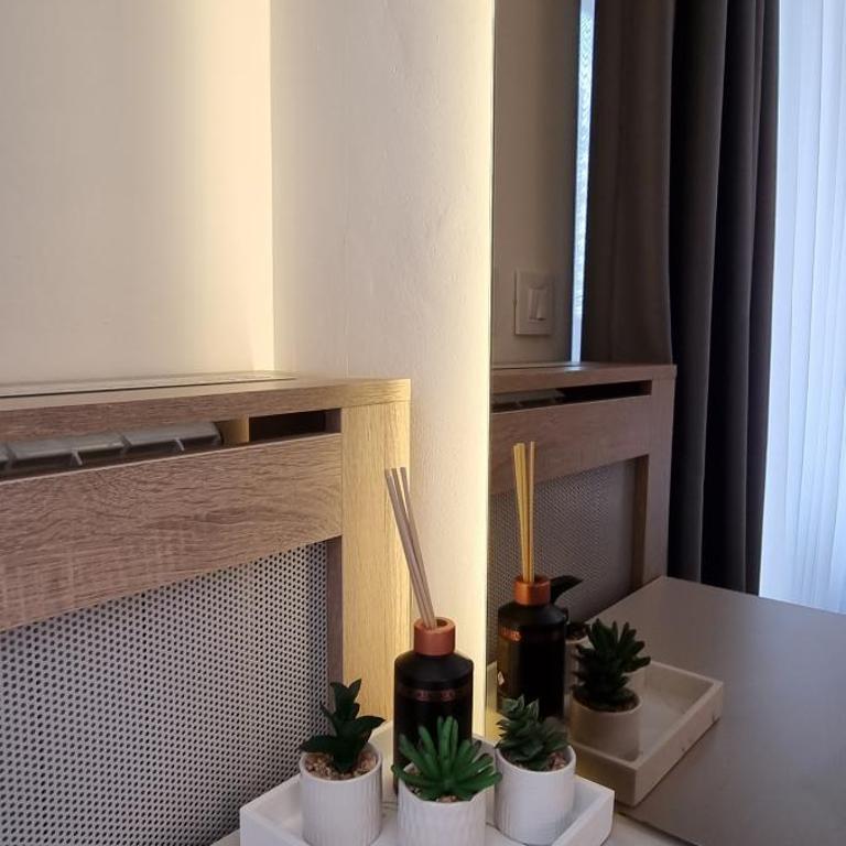 Beograd na vodi - BW Terra Exclusive - Apartman sa Terasom - 7