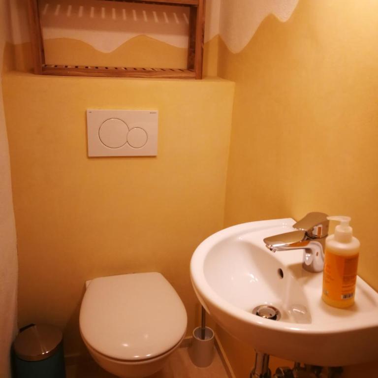 Bio-Ferienwohnung Ellensohn - Studio - 1