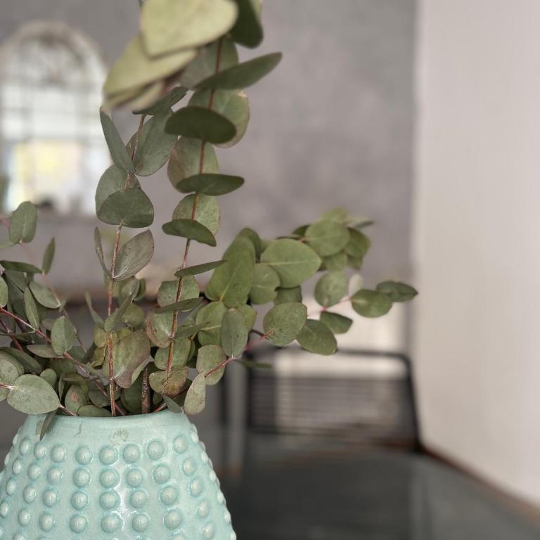 Departamento moderno calle España! - Apartamento de 2 dormitorios - 5