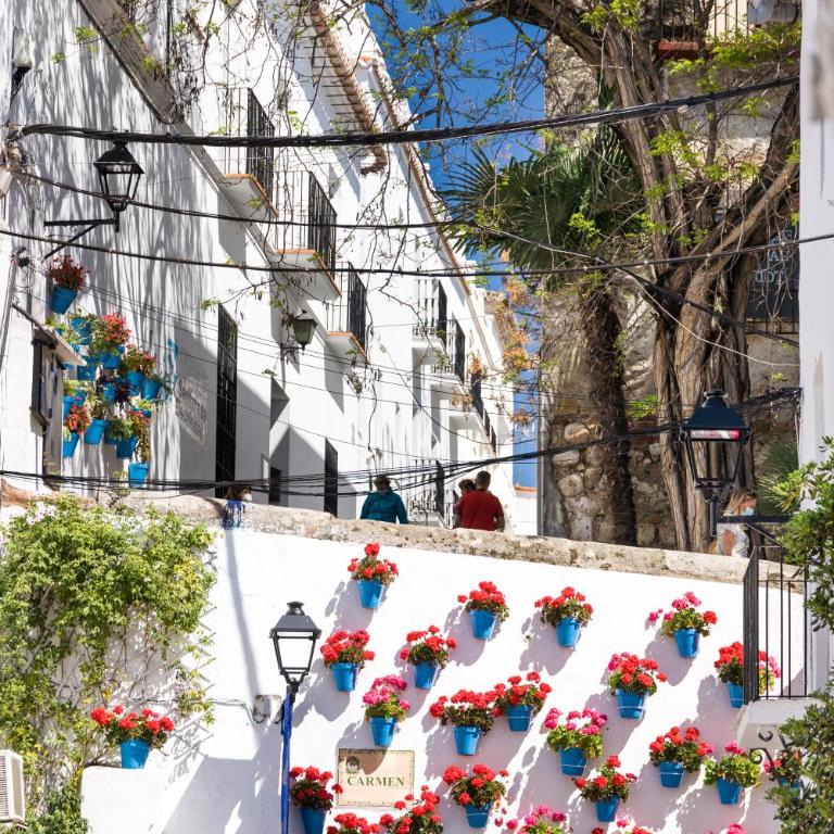 Pent-House on the Golden Mile - Apartamento de 1 dormitorio - 5