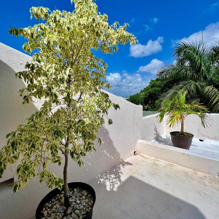 PENTHOUSE con Terraza privada super cómodo y espacioso. - Appartement - 29