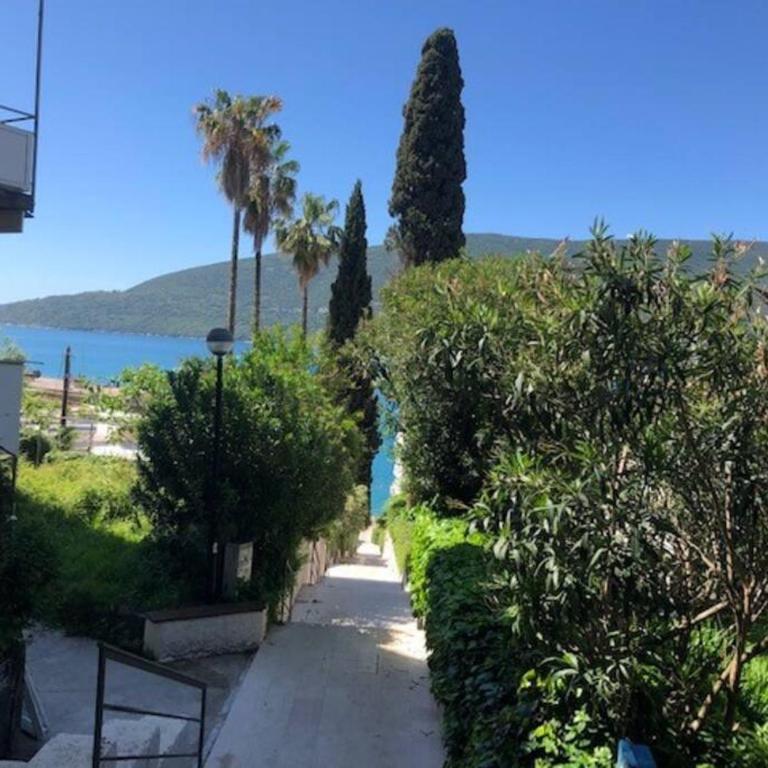 Sea view and family friendly home - One-Bedroom Apartment - 5