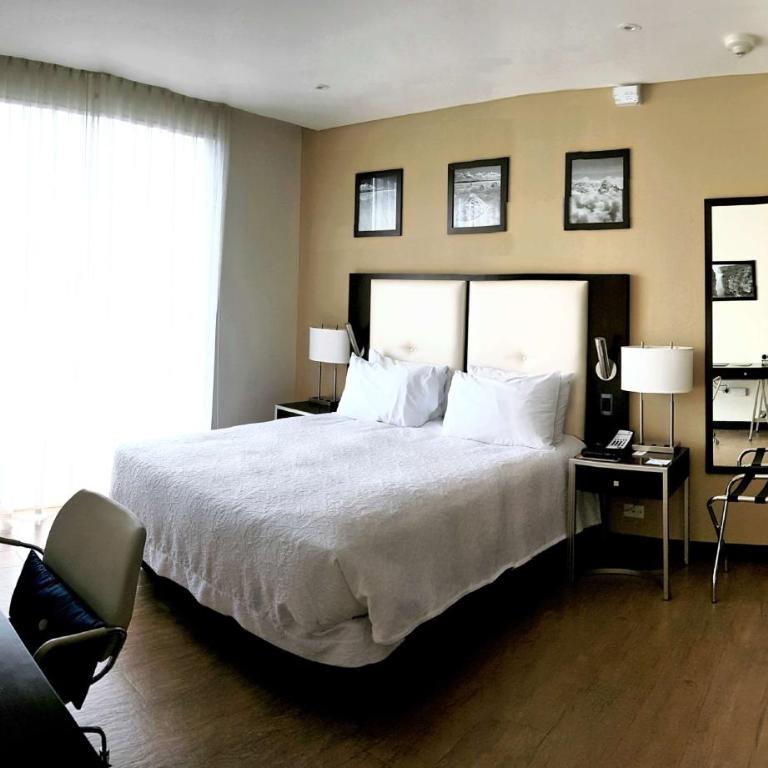 Hampton by Hilton Santa Cruz - Habitación con vistas panorámicas - Cama grande - 1