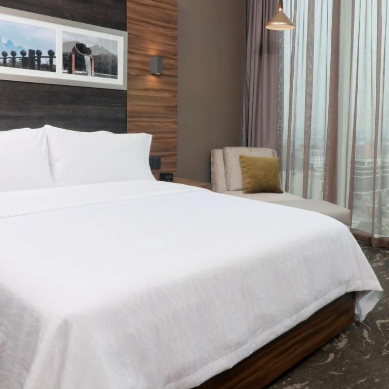 Hilton Garden Inn Monterrey Obispado - Corner Queen Room with Mountain View - 1