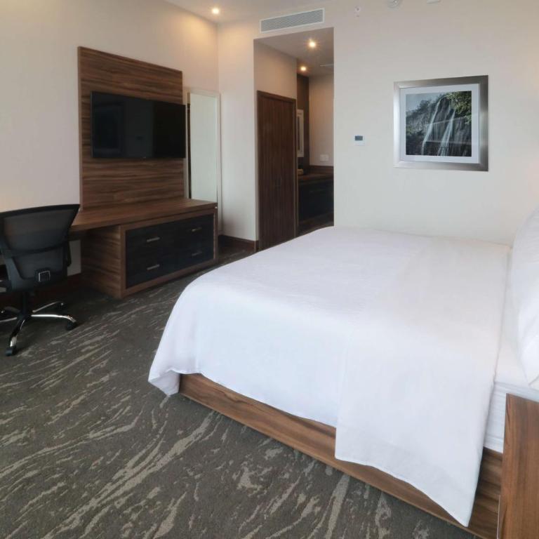 Hilton Garden Inn Monterrey Obispado - Queen Room - 2