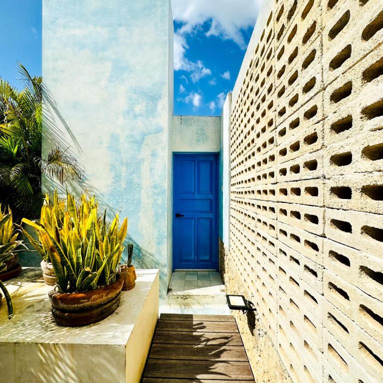 CASA CHAKÁ BOUTIQUE - Deluxe Double Room with Bath - 17