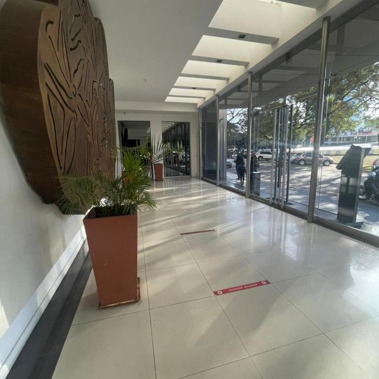 Coral State - Loft - 11