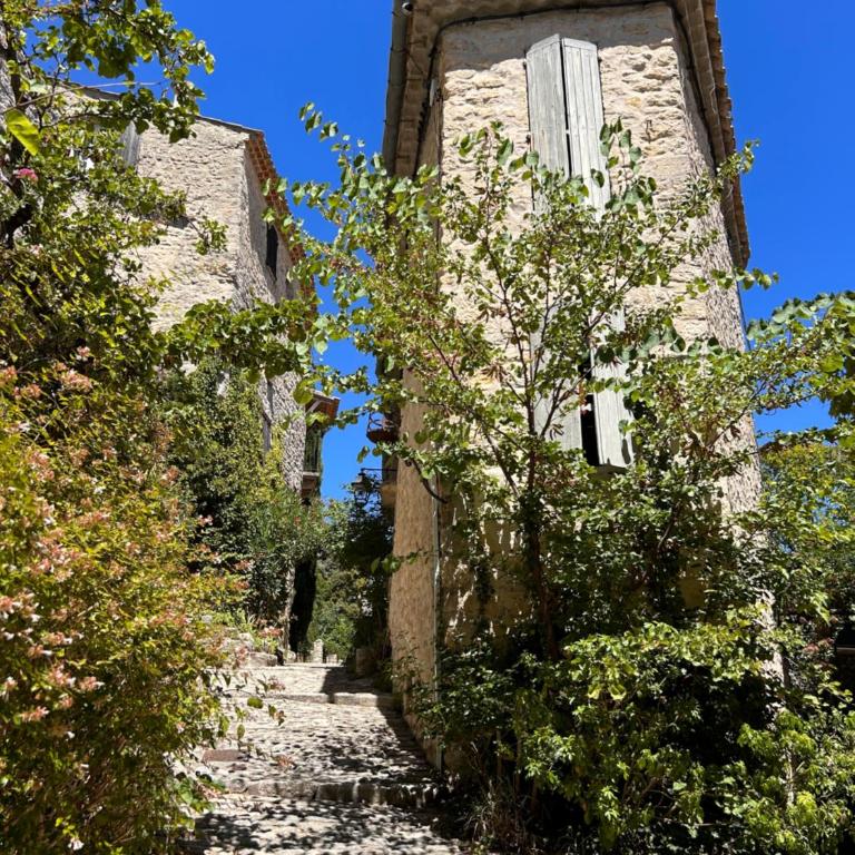 Villa Jilie - Villa - 29