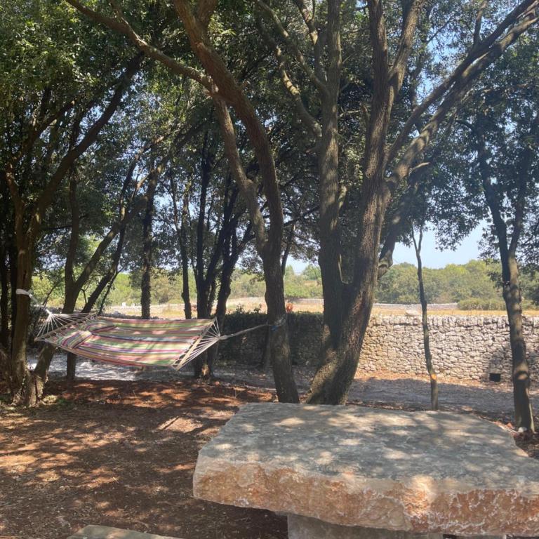 Il trullo di Rospano - Casa con 2 Camere da Letto - 10