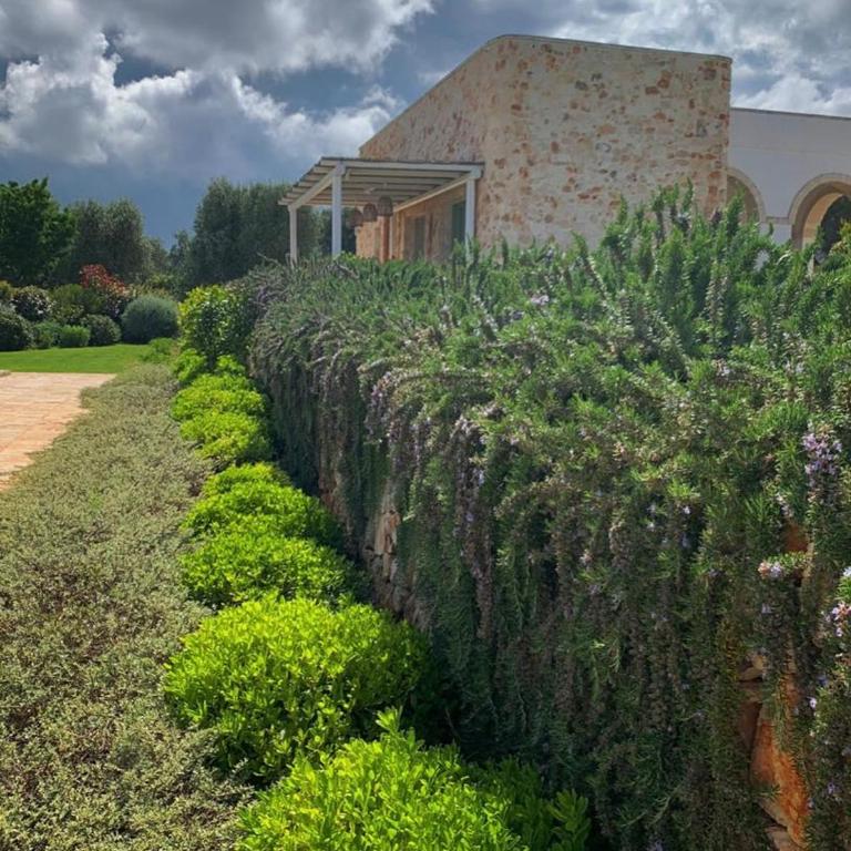 Trullo il Gatto Nero - Casa con 3 Camere da Letto - 58