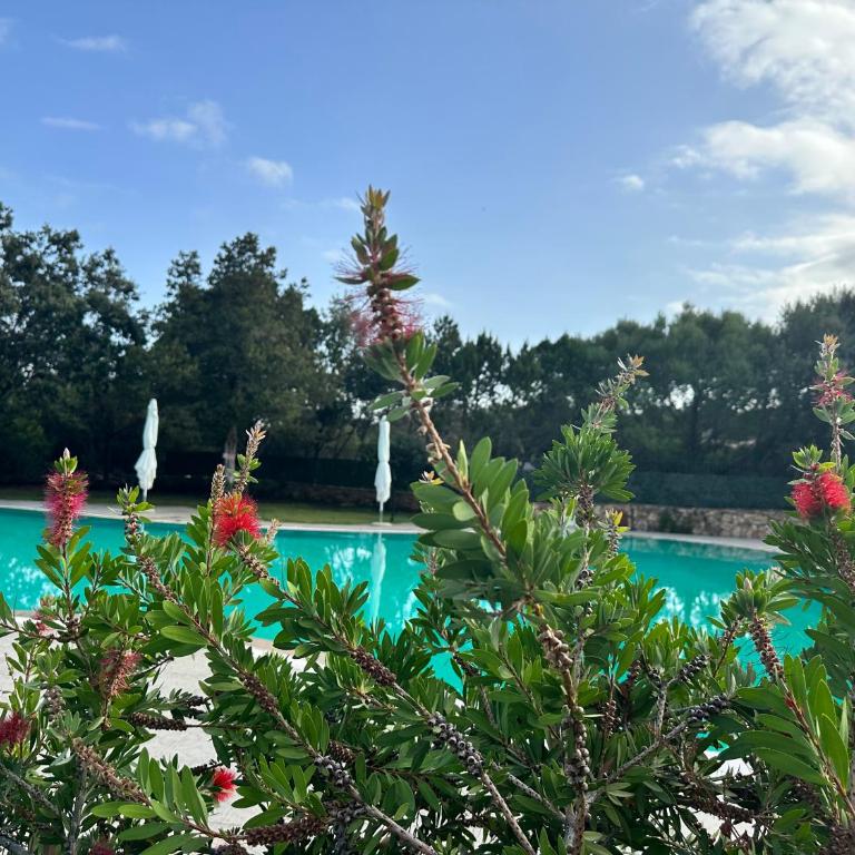 ILIA'S House Porto Rotondo - Appartamento con 2 Camere da Letto - 19
