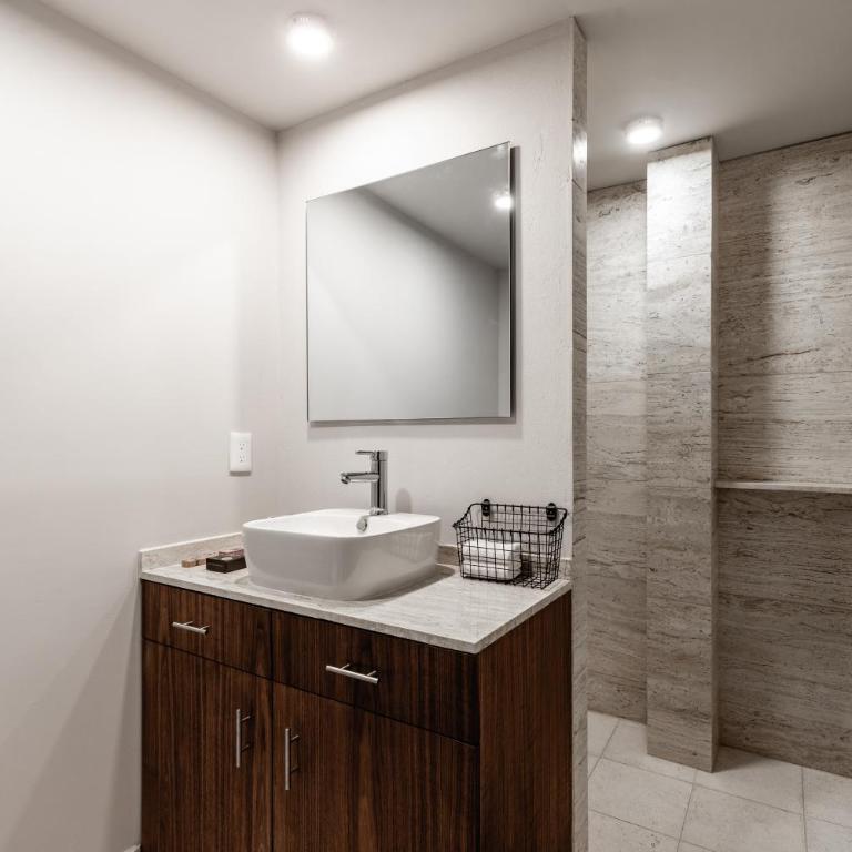 Roma Norte Trendy Apartments by VIATO - Two-Bedroom Apartment - 4