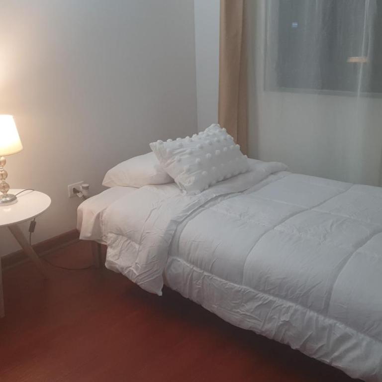 Departamento Centro Santiago con piscina y climatizador - One-Bedroom Apartment - 10