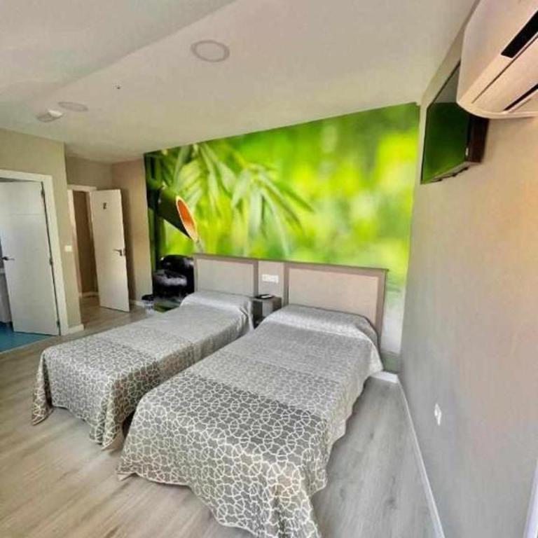 Hostal Viena Plaza Nueva - Twin Room with Terrace - 3