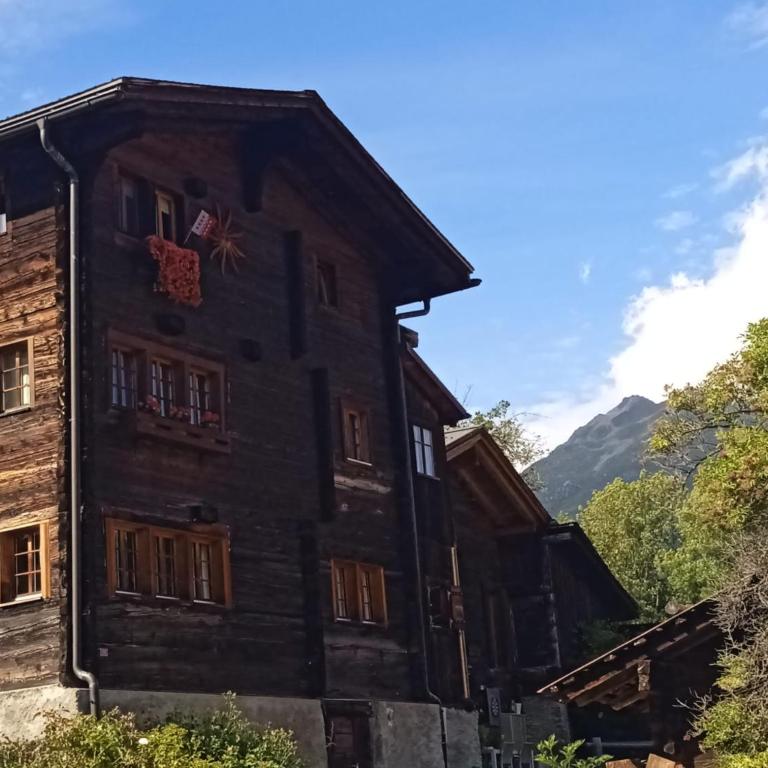 Heimeliges Walliserhaus - Appartement 2 Chambres - 21