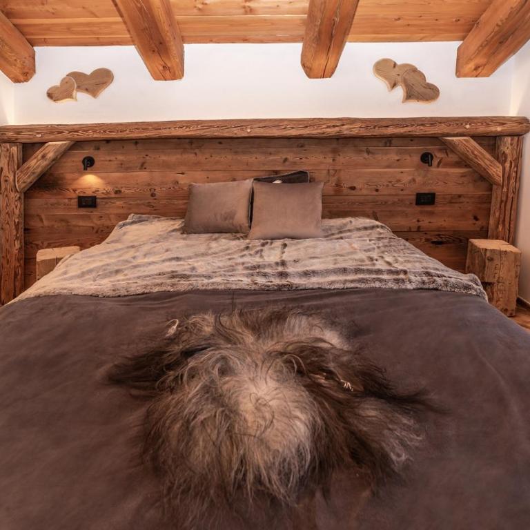 Appartamenti ABC Group - Chalet Superior - 2