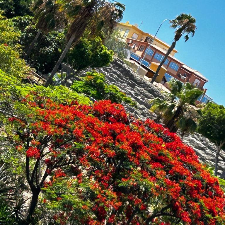 Villa Natandre Tenerife Ocean View Accommodation - Villa - 8