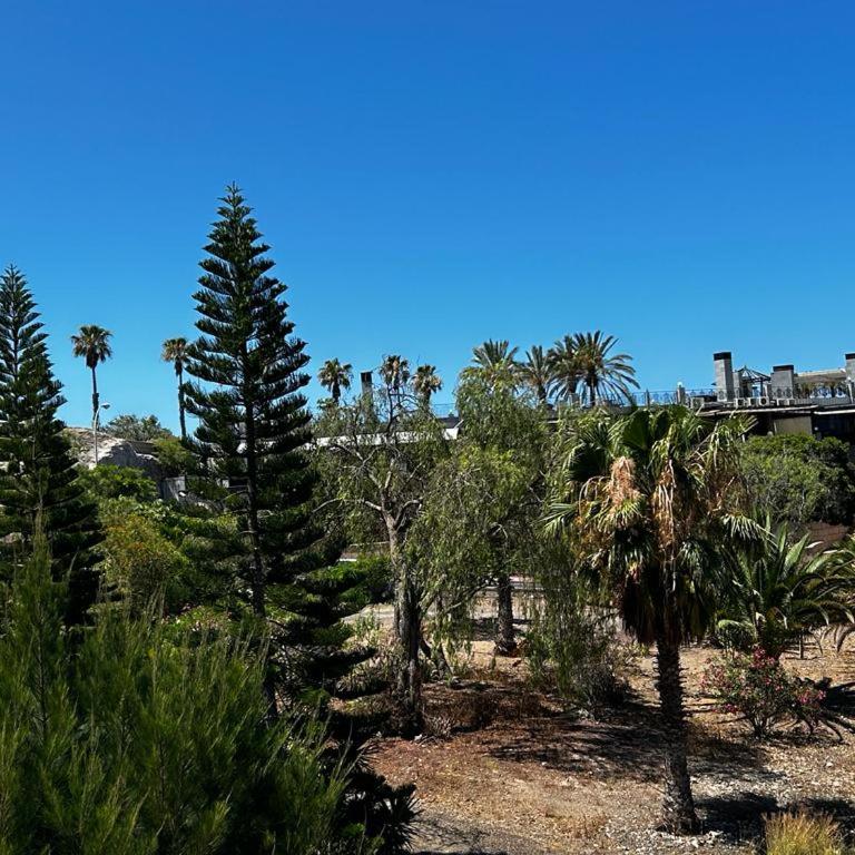 Villa Natandre Tenerife Ocean View Accommodation - Villa - 9