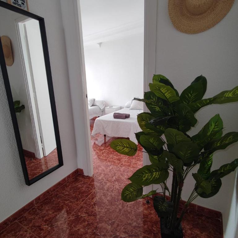 Descanso y diversión en pleno centro de Almuñécar - Apartamento de 3 dormitorios - 15