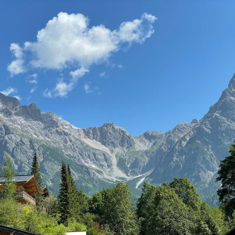 Alpenglück - Hinterthal & Sauna - Apartment mit Sauna - 6