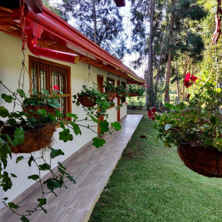 finca Encanto - Casa de 5 dormitorios - 69