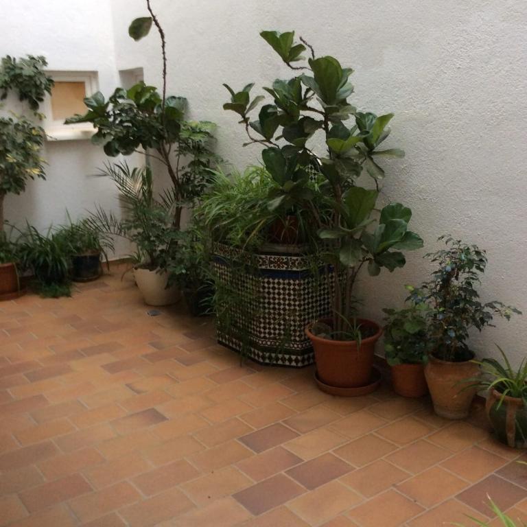 Estudio SAN JOSÉ - Apartamento de 1 dormitorio - 13