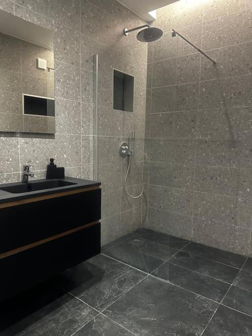 Grand Appartement Cosy - La caserne de Bonne - Grenoble Centre - Superior Apartment - 12