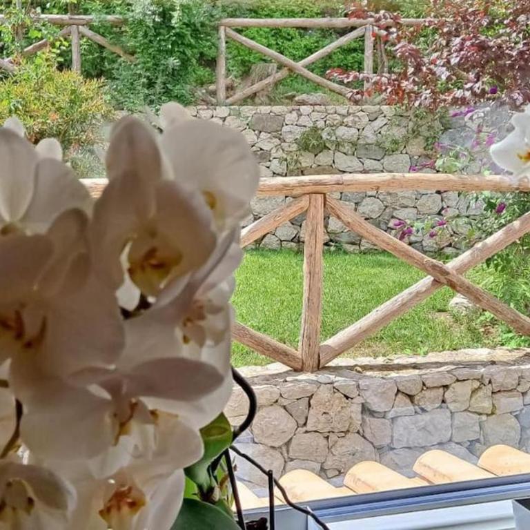Villa Annachiara Sorrento Coast - Villa - 13
