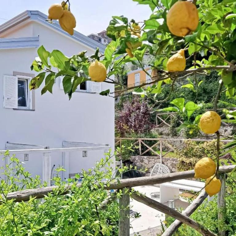 Villa Annachiara Sorrento Coast - Villa - 14