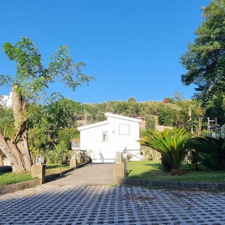 Villa Annachiara Sorrento Coast - Villa - 17
