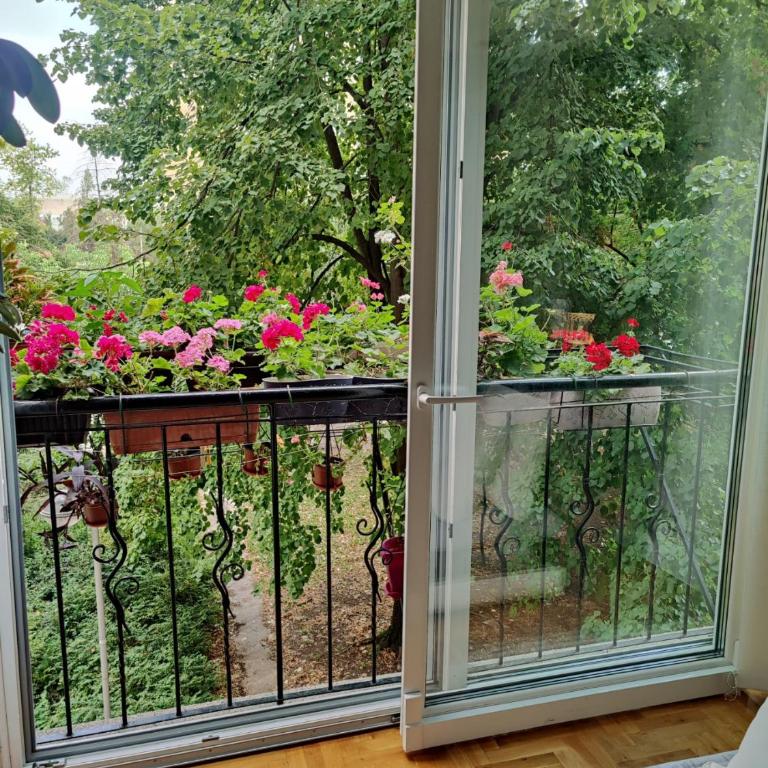 Ana Apartment - Apartman sa 2 Spavaće Sobe - 10