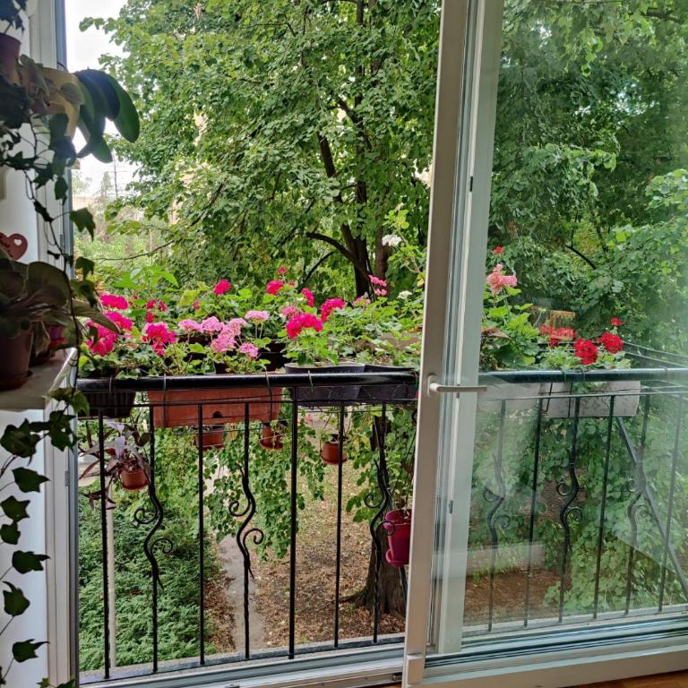 Ana Apartment - Apartman sa 2 Spavaće Sobe - 15