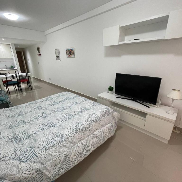 Family Studio in San Telmo - Apartamento - 1