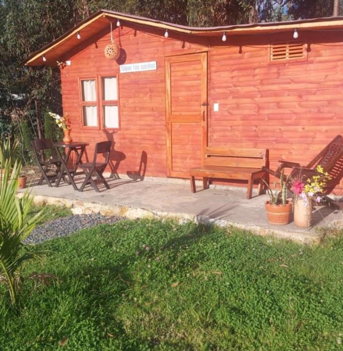 Mundo Nuevo Cabañas - Casa Móvil - 9