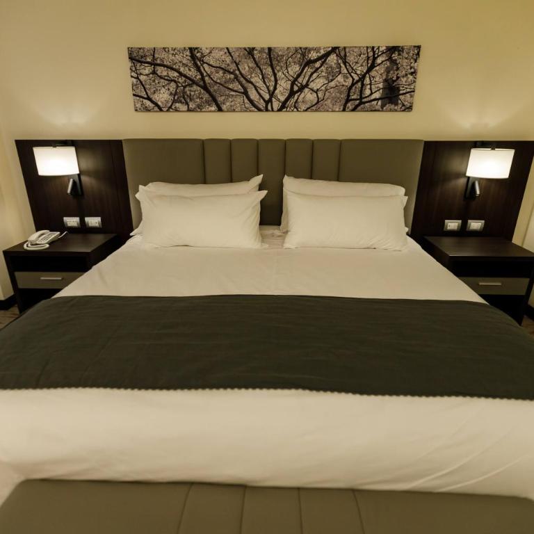 Hilton Garden Inn Santiago Del Estero - HILTON HOTELS - Habitación con cama extragrande. - 2