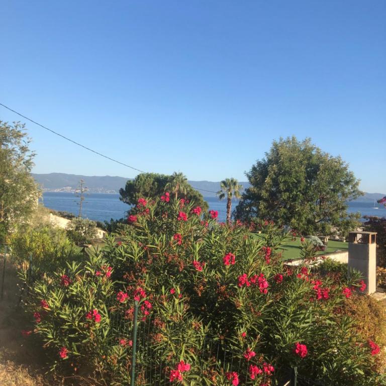 Ajaccio appartement 4 couchages, climatisé a 150m de la plage route des sanguinaires, parking privé - Apartment mit 2 Schlafzimmern - 44