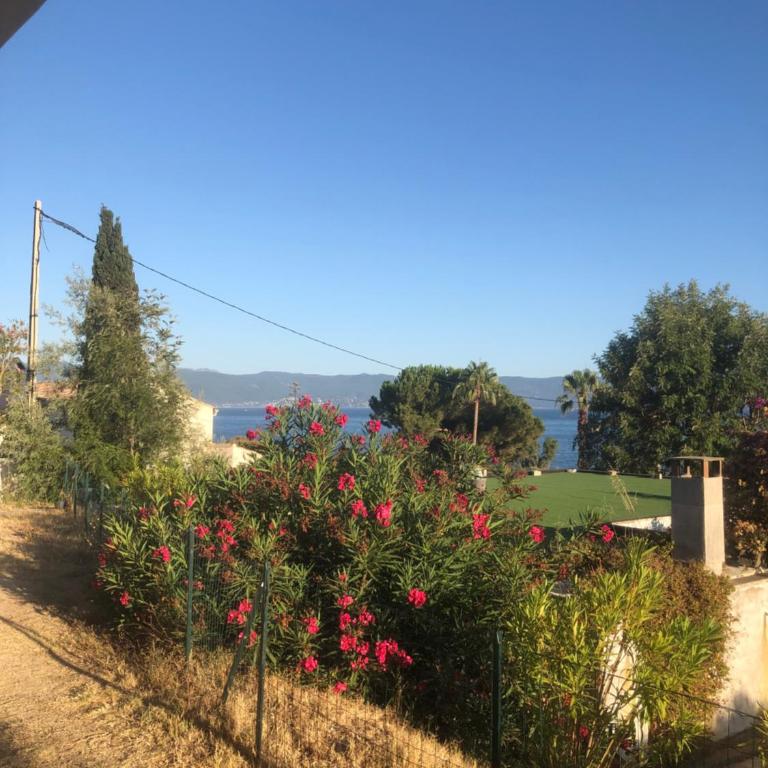 Ajaccio appartement 4 couchages, climatisé a 150m de la plage route des sanguinaires, parking privé - Apartment mit 2 Schlafzimmern - 18