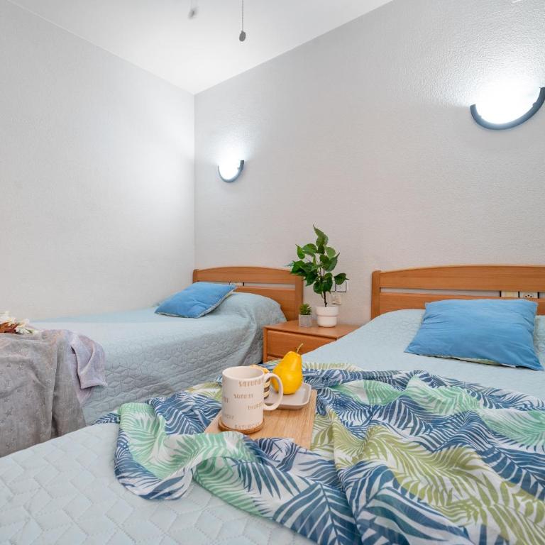 Paradis Park Apartments - One-Bedroom Apartment - 19