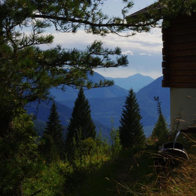 Alpenchalet Waldl - la Lepre - Chalet con 1 Camera da Letto - 32