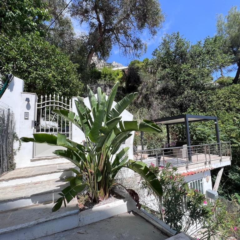 THE WHITE HOUSE BEAUSOLEIL- Monaco Border Waterfall & View of Sea and Monaco - Villa mit 3 Schlafzimmern - 4