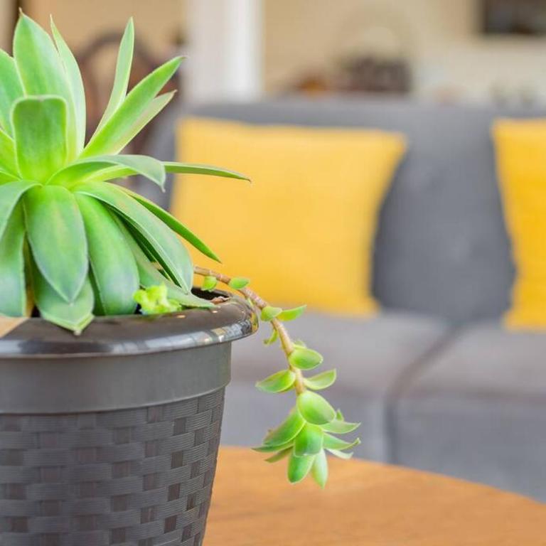 Suite Platinum 204 - Apartamento de 1 dormitorio - 13