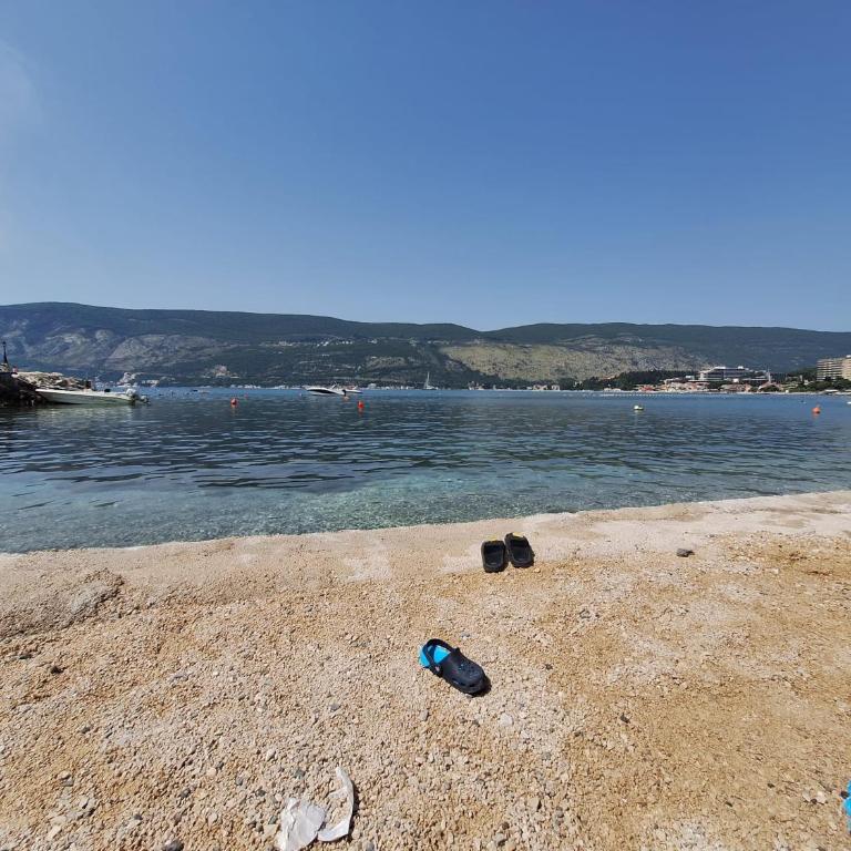 Apartman Dardic - Apartment - 16