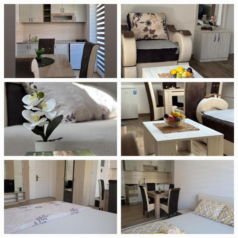 Apartmani Zvezdana - Standardni Trokrevetni Studio - 8