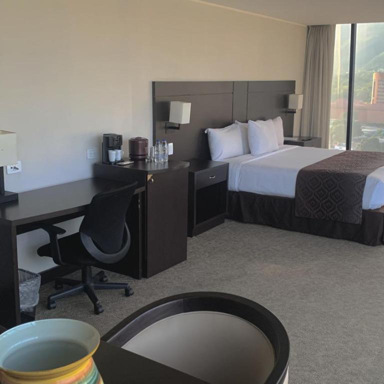 HOTEL CHACAO SUITES - Deluxe Junior Suite - 4