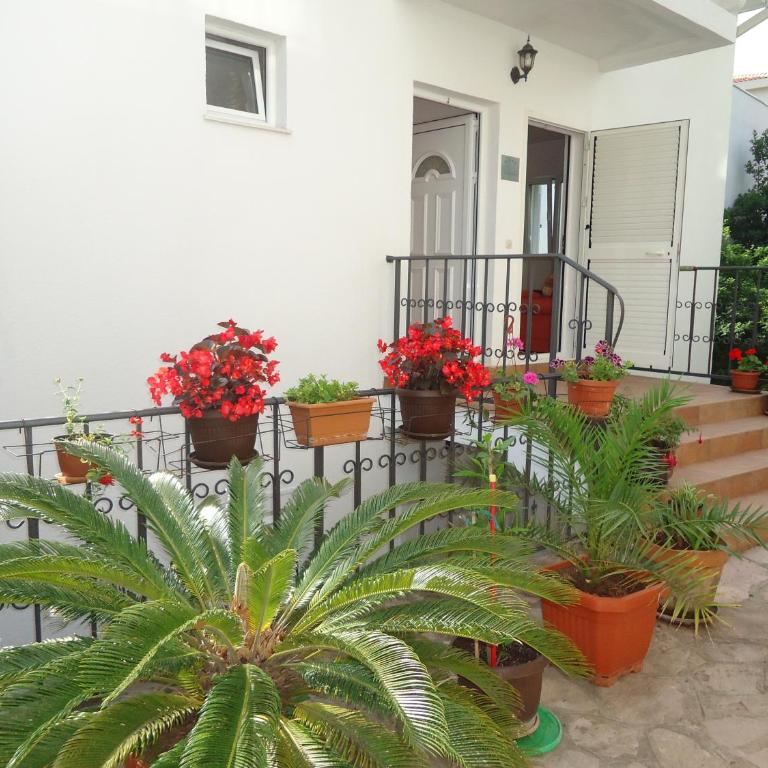 Apartments Luka - Studio Apartman - 11