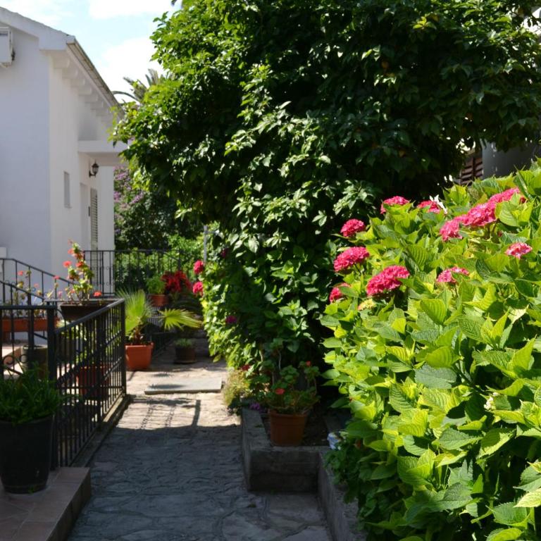 Apartments Luka - Apartman s 1 Spavaćom Sobom i Pogledom na More - 13