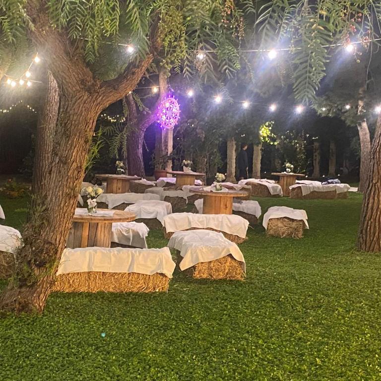 Le Casette fra le Masserie - Villa con 2 Camere da Letto - 12